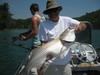 (06/20/2013) - Nice Striped Bass