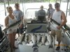 (06/22/2013) - Nice Striped Bass