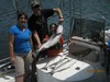 (06/22/2013) - Nice Striped Bass
