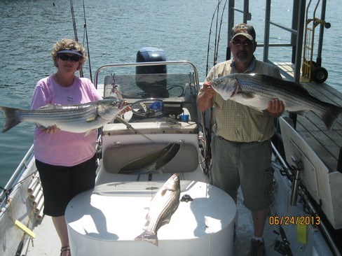 Nice Striped Bass