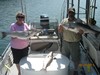(06/24/2013) - Nice Striped Bass