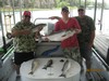 (06/24/2013) - Nice Striped Bass