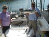 (06/25/2013) - Nice Striped Bass