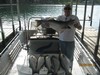 (06/26/2013) - Nice Striped Bass