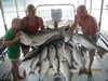 (06/27/2013) - Nice Striped Bass