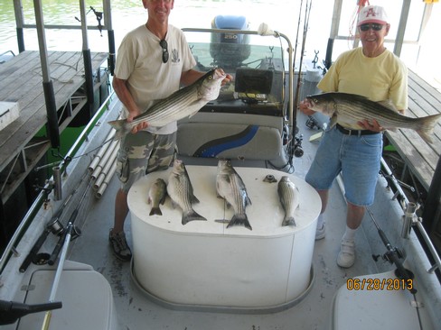 Nice Striped Bass