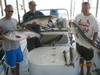 (06/29/2013) - Nice Striped Bass