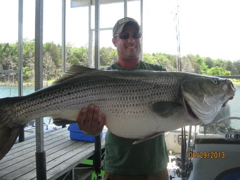 Nice Striped Bass