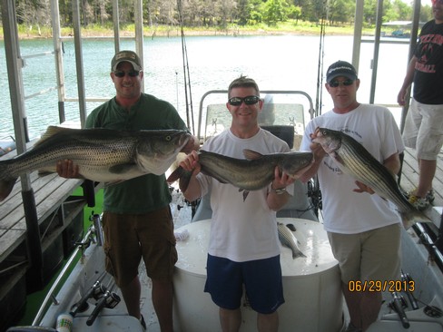 Nice Striped Bass