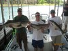 (06/29/2013) - Nice Striped Bass