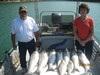 (07/01/2013) - Nice Striped Bass