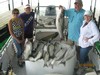 (07/01/2013) - Nice Striped Bass