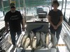 (07/02/2013) - Nice Striped Bass