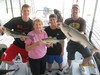 (07/03/2013) - Nice Striped Bass