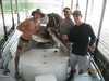 (07/04/2013) - Nice Striped Bass