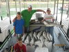 (07/04/2013) - Nice Striped Bass