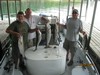 (07/05/2013) - Nice Striped Bass
