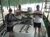 (07/06/2013) - Nice Striped Bass