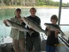 (07/07/2013) - Nice Striped Bass