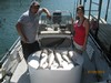 (07/09/2013) - Nice Striped Bass