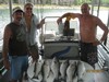 (07/10/2013) - Nice Striped Bass