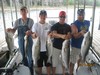 (07/14/2013) - Nice Striped Bass
