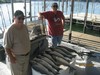 (07/17/2013) - Nice Striped Bass