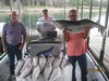 (07/21/2013) - Nice Striped Bass