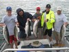 (07/22/2013) - Nice Striped Bass