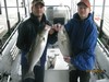 (07/22/2013) - Nice Striped Bass