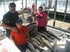 (07/23/2013) - Nice Striped Bass