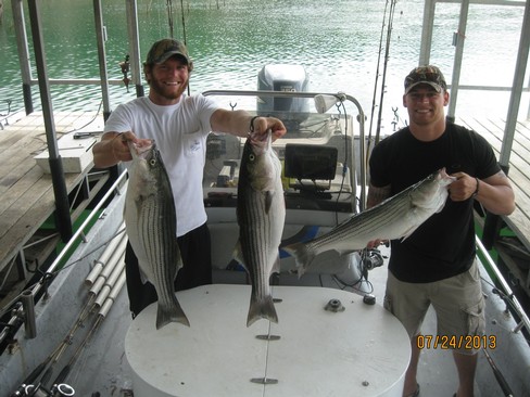 Nice Striped Bass