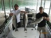 (07/24/2013) - Nice Striped Bass