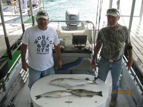 Nice Striped Bass