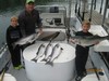(07/28/2013) - Nice Striped Bass