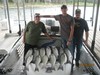 (07/29/2013) - Nice Striped Bass
