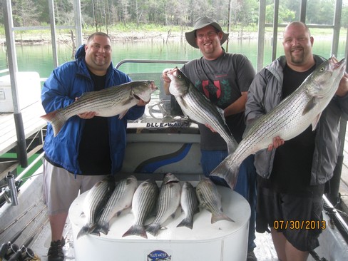 Nice Striped Bass