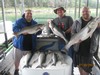 (07/30/2013) - Nice Striped Bass