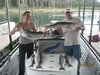 (07/31/2013) - Nice Striped Bass