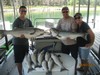 (08/01/2013) - Nice Striped Bass