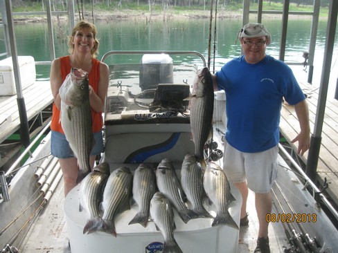 Nice Striped Bass