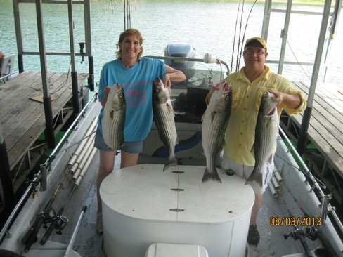 Nice Striped Bass