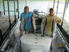 (08/03/2013) - Nice Striped Bass