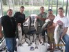 (08/04/2013) - Nice Striped Bass