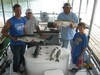 (08/06/2013) - Nice Striped Bass