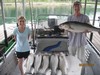(08/07/2013) - Nice Striped Bass
