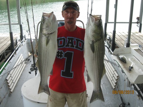 Nice Striped Bass