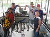 (08/08/2013) - Nice Striped Bass