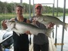 (08/09/2013) - Nice Striped Bass