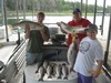 (08/10/2013) - Nice Striped Bass